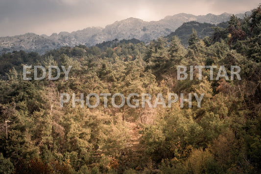 From Lehfid to Hardine (Batroun)