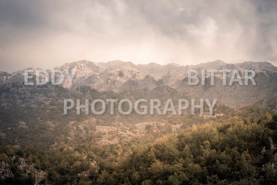 From Lehfid to Hardine (Batroun)