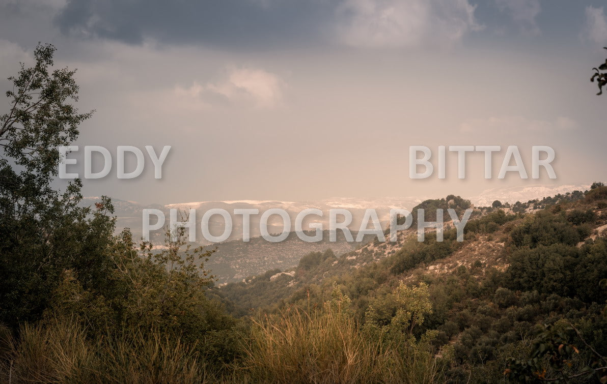 From Lehfid to Hardine (Batroun)