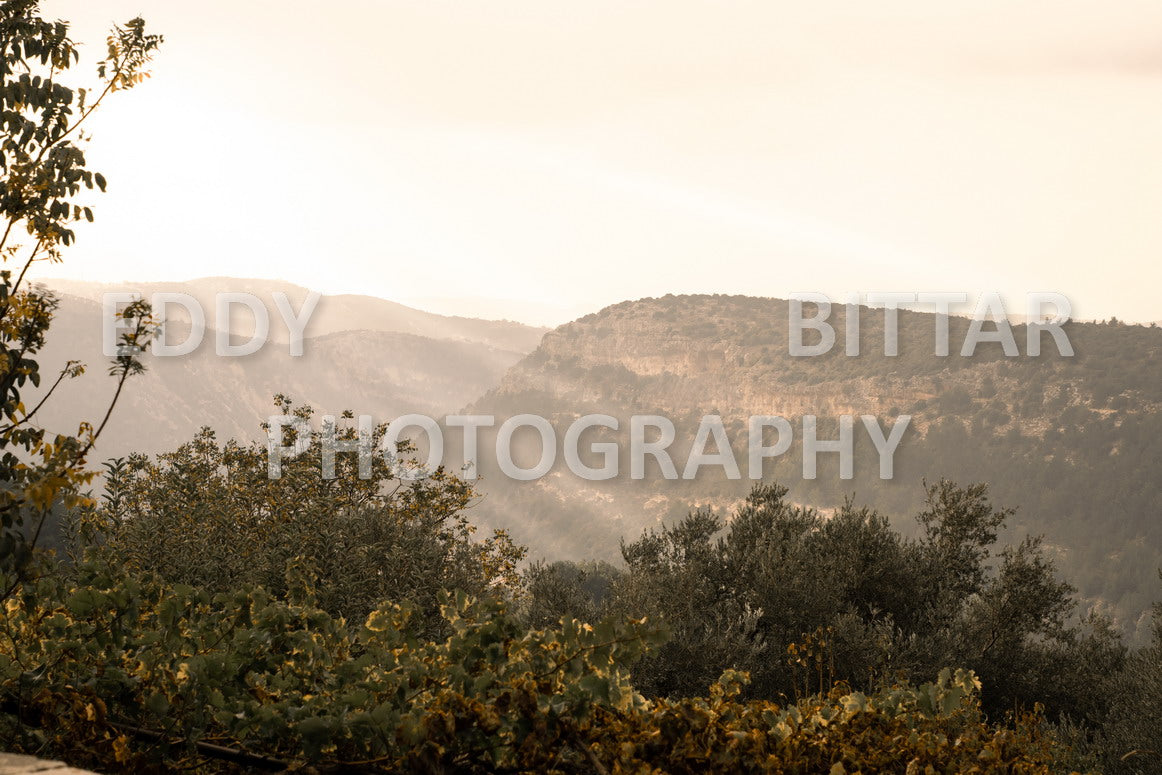 From Lehfid to Hardine (Batroun)