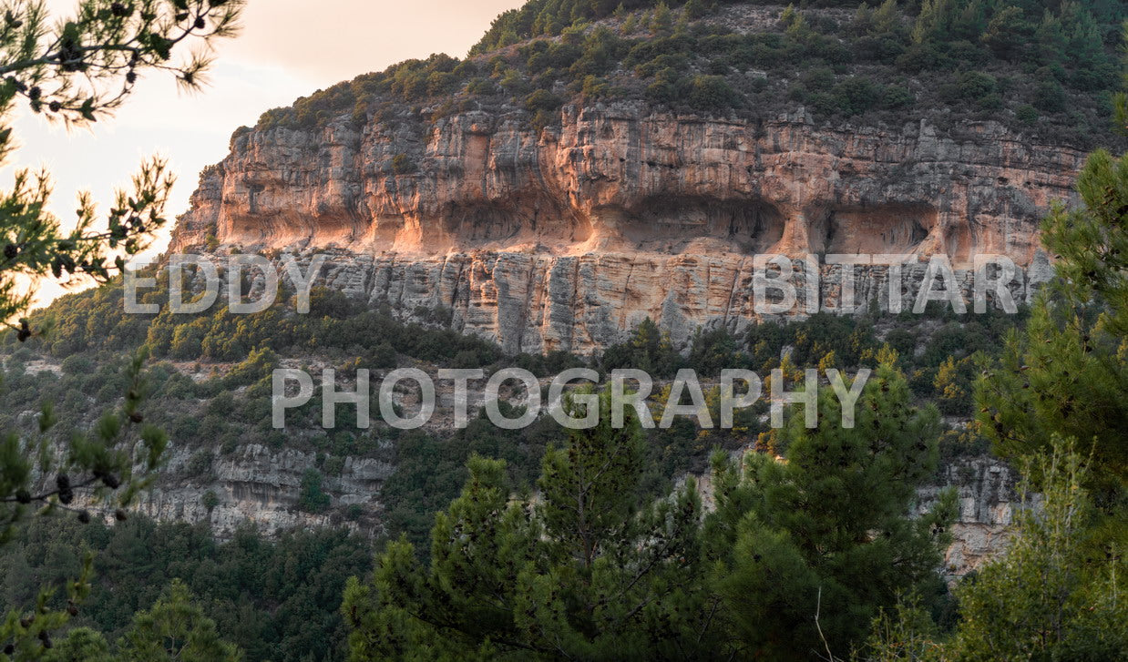 From Lehfid to Hardine (Batroun)