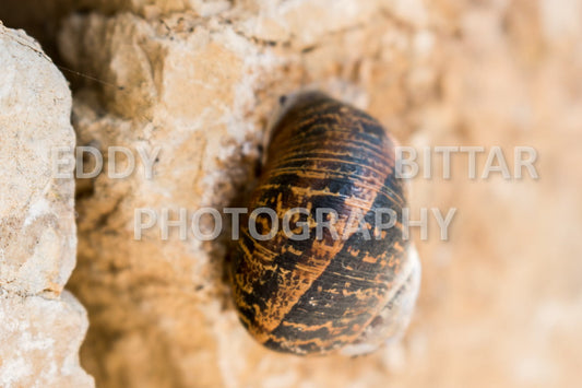 Walking the ancient Deir El Qamar Road