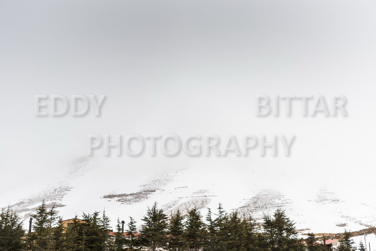 Snow-covered mountains in the Cedars