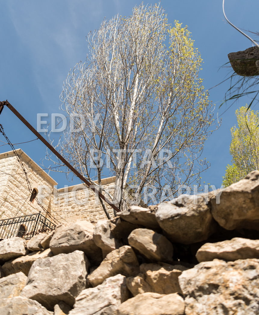 Walking the ancient Deir El Qamar Road