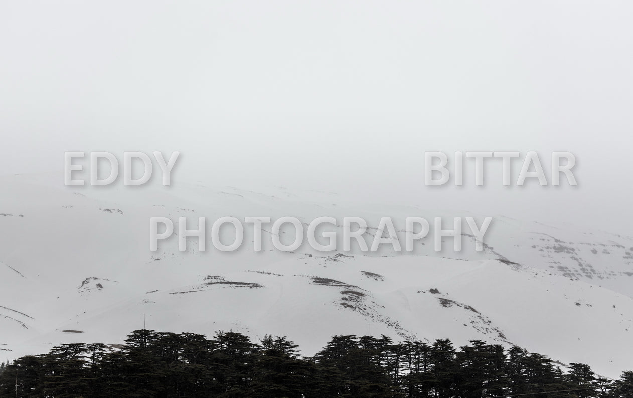 Snow-covered mountains in the Cedars