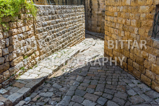 Walking the ancient Deir El Qamar Road