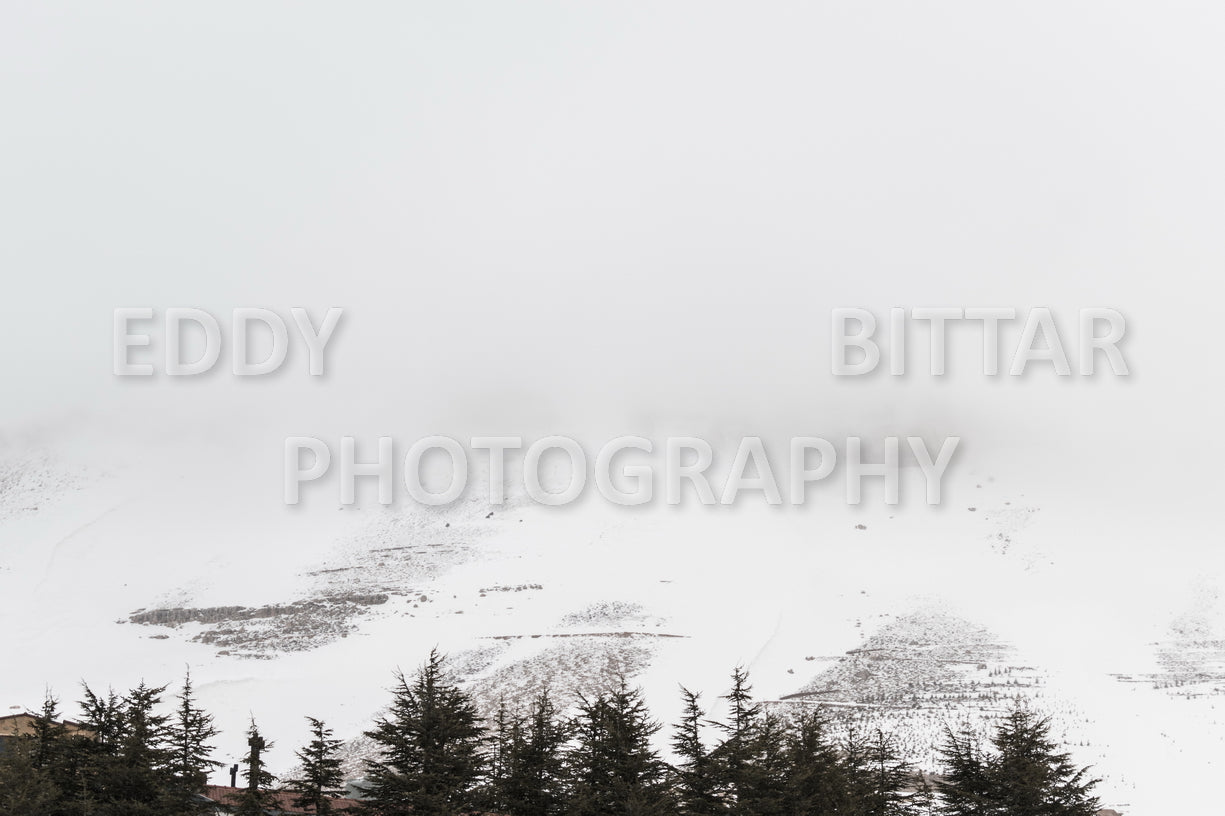 Snow-covered mountains in the Cedars