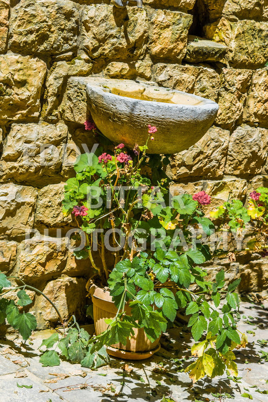 Walking the ancient Deir El Qamar Road