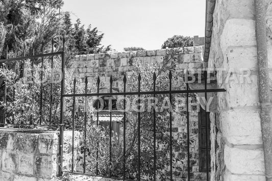 Walking the ancient Deir El Qamar Road