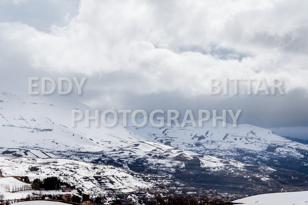 Snow-covered mountains in the Cedars