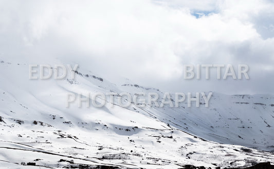 Snow-covered mountains in the Cedars