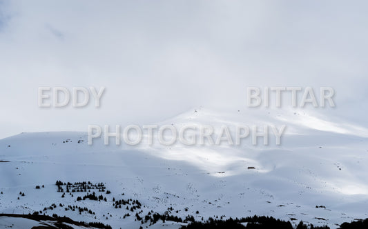 Snow-covered mountains in the Cedars