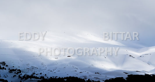 Snow-covered mountains in the Cedars