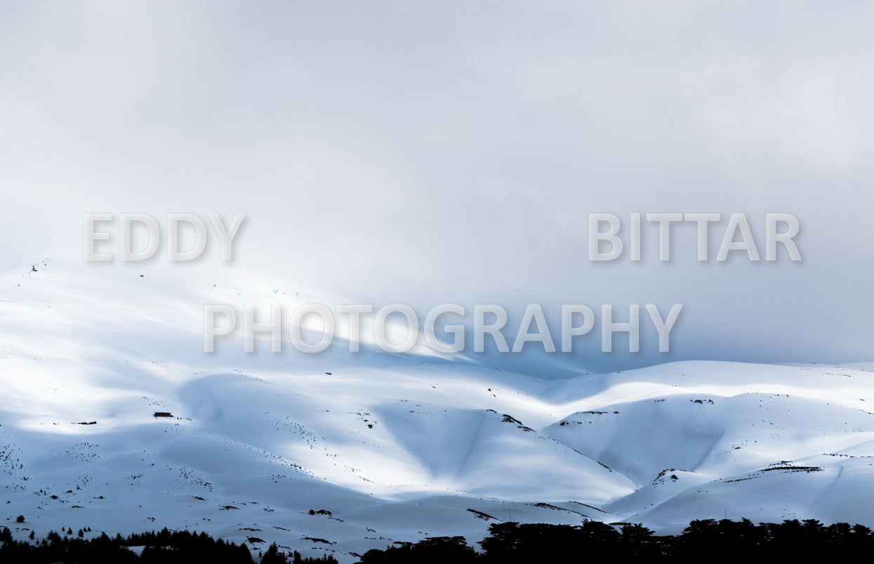 Snow-covered mountains in the Cedars