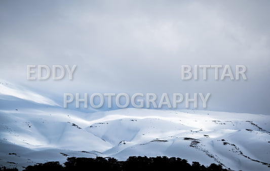 Snow-covered mountains in the Cedars