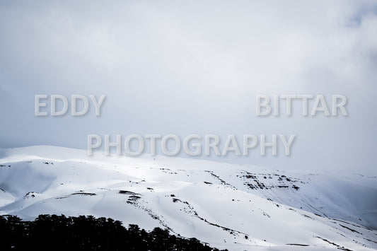 Snow-covered mountains in the Cedars