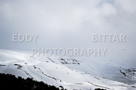 Snow-covered mountains in the Cedars