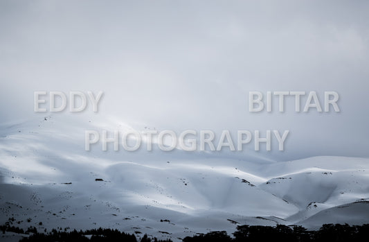 Snow-covered mountains in the Cedars