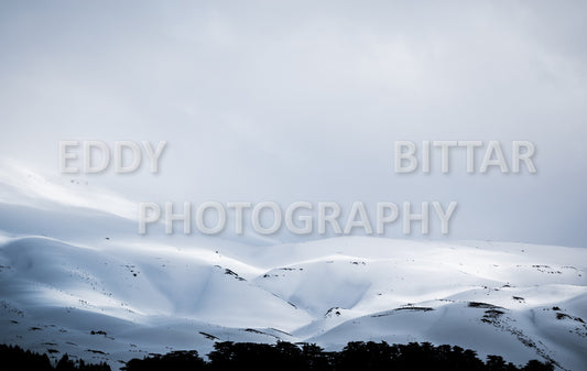 Snow-covered mountains in the Cedars