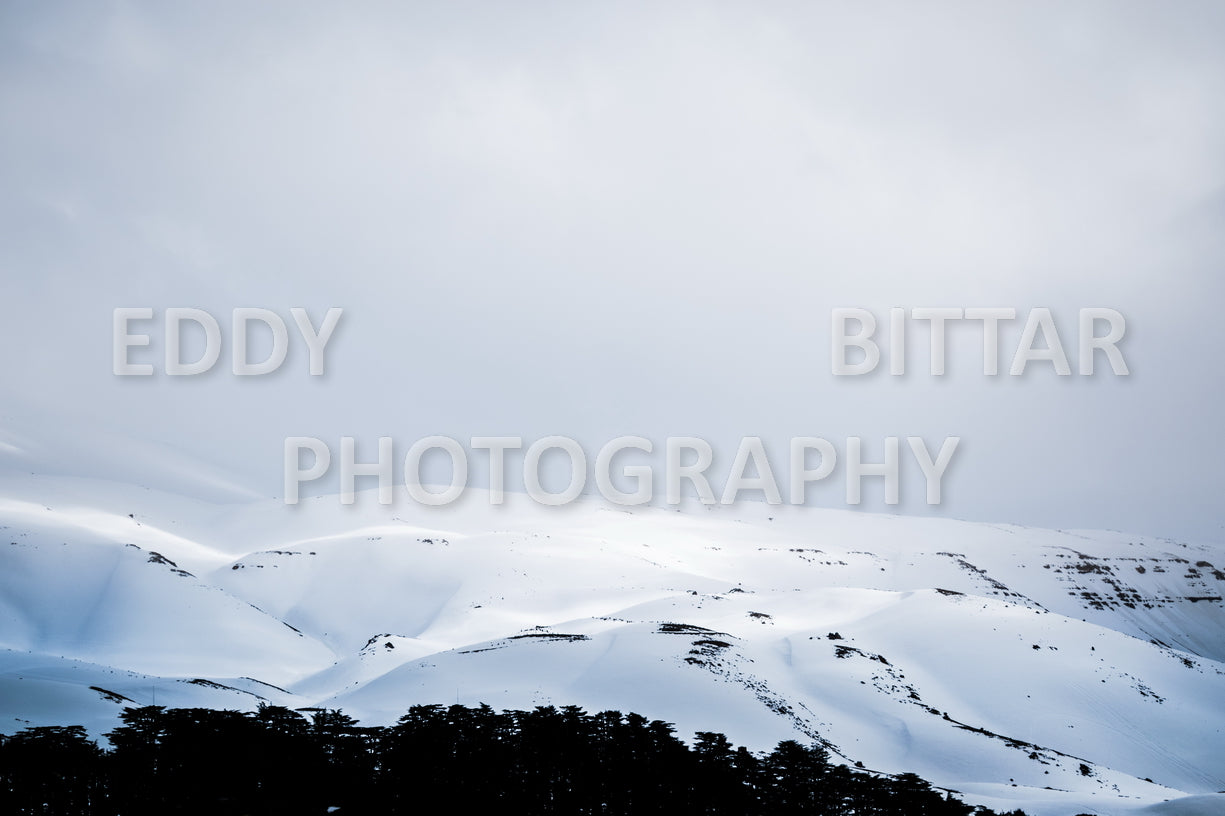 Snow-covered mountains in the Cedars