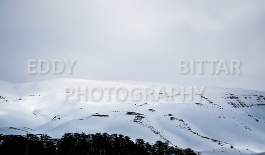 Snow-covered mountains in the Cedars