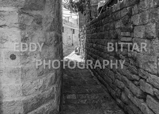 Walking the ancient Deir El Qamar Road