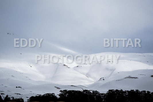 Snow-covered mountains in the Cedars