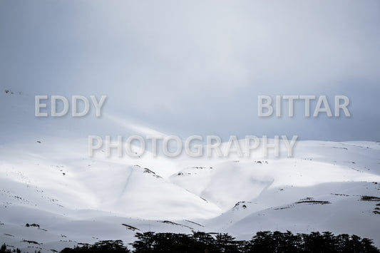 Snow-covered mountains in the Cedars