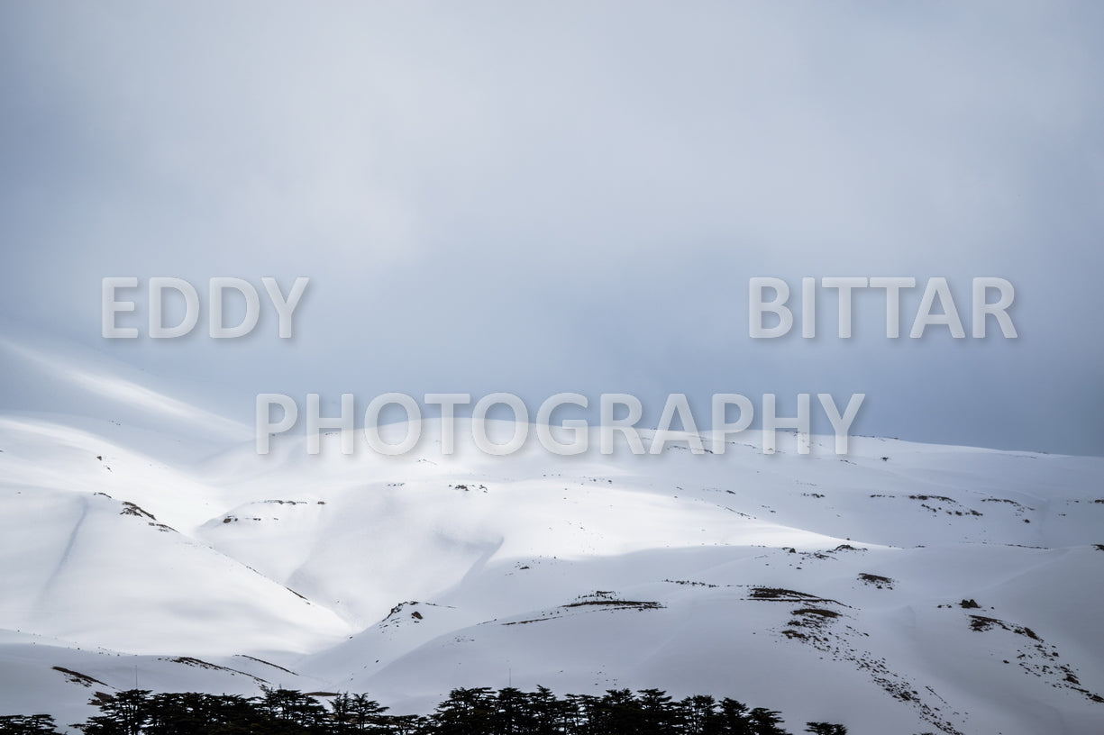 Snow-covered mountains in the Cedars