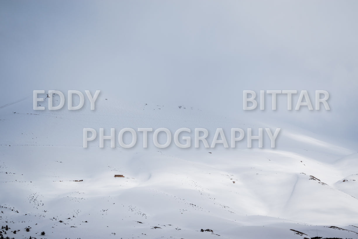 Snow-covered mountains in the Cedars