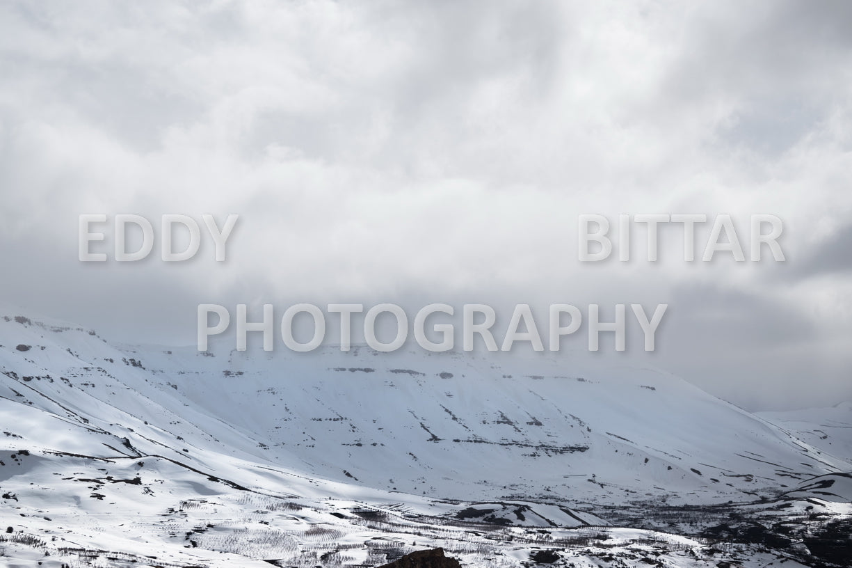 Snow-covered mountains in the Cedars