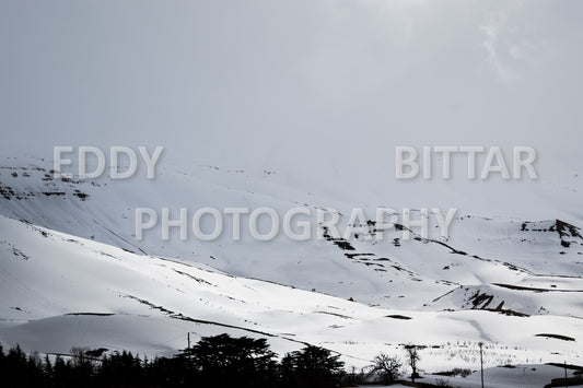 Snow-covered mountains in the Cedars