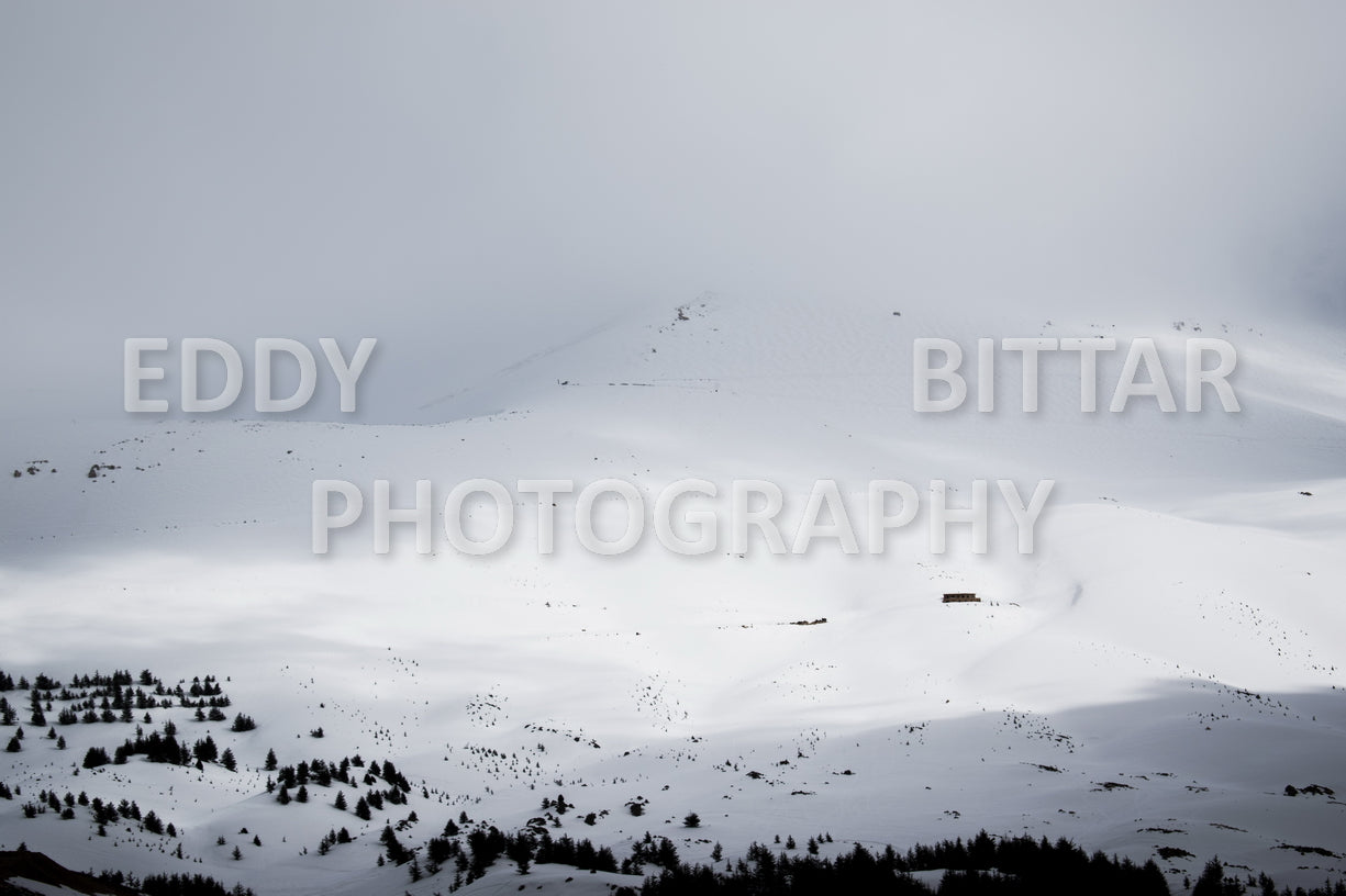 Snow-covered mountains in the Cedars