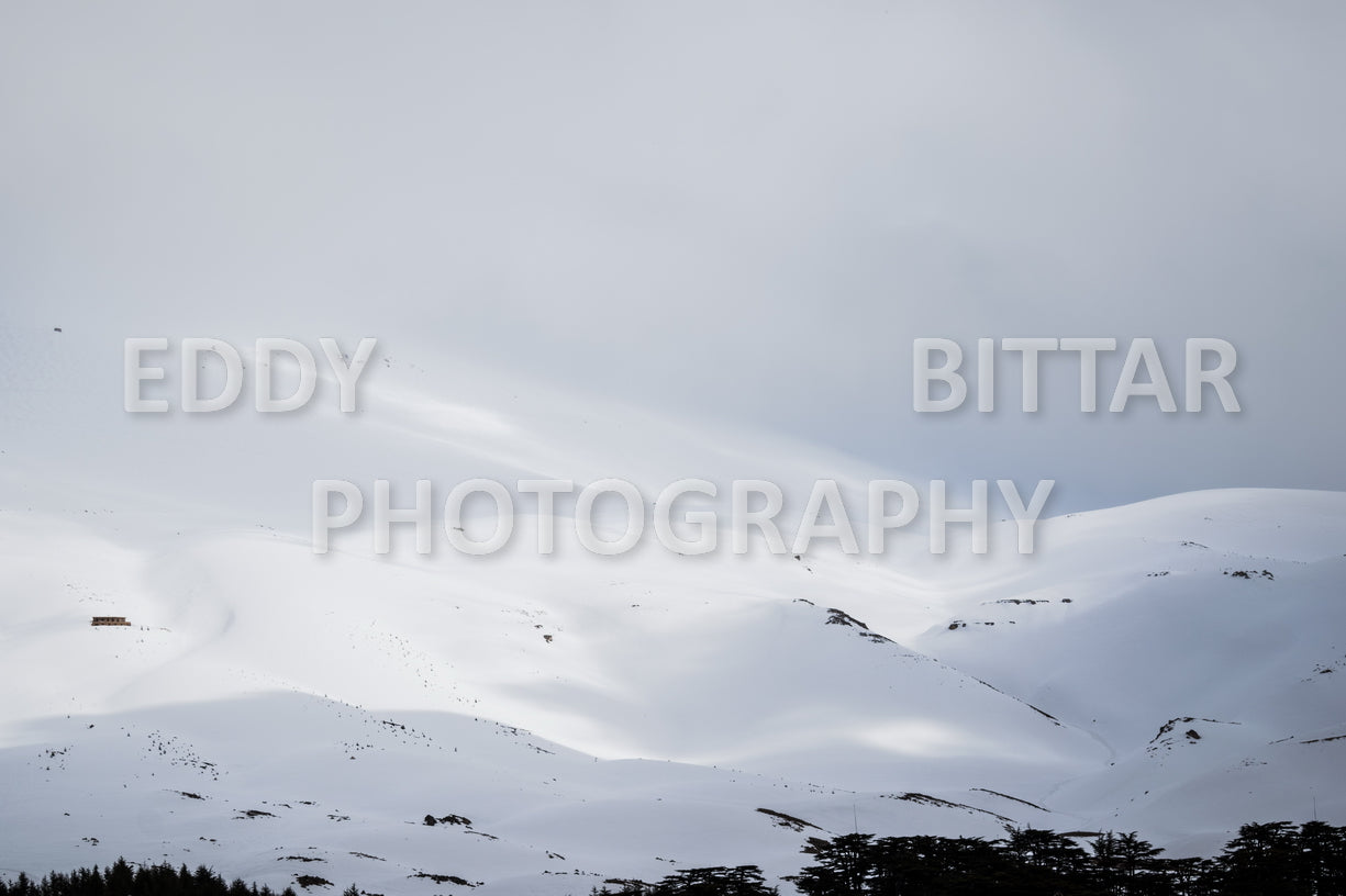 Snow-covered mountains in the Cedars