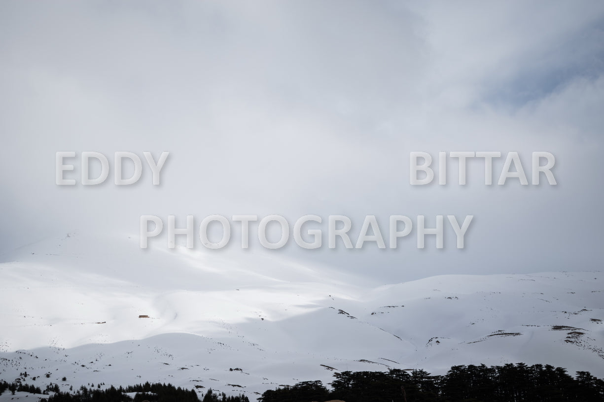 Snow-covered mountains in the Cedars