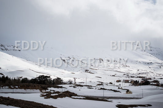 Snow-covered mountains in the Cedars