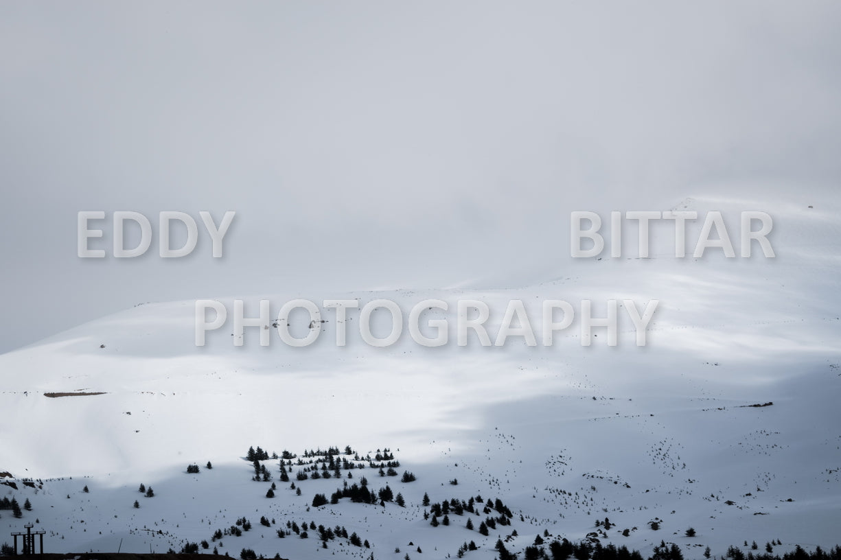 Snow-covered mountains in the Cedars