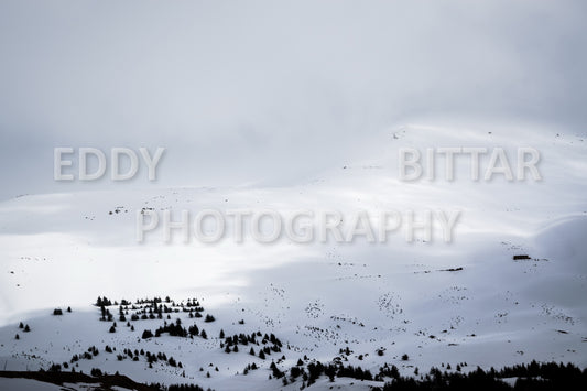 Snow-covered mountains in the Cedars