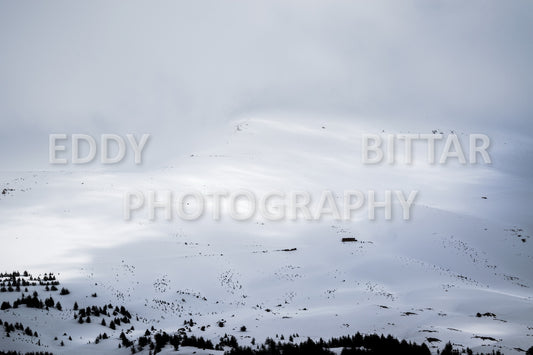 Snow-covered mountains in the Cedars