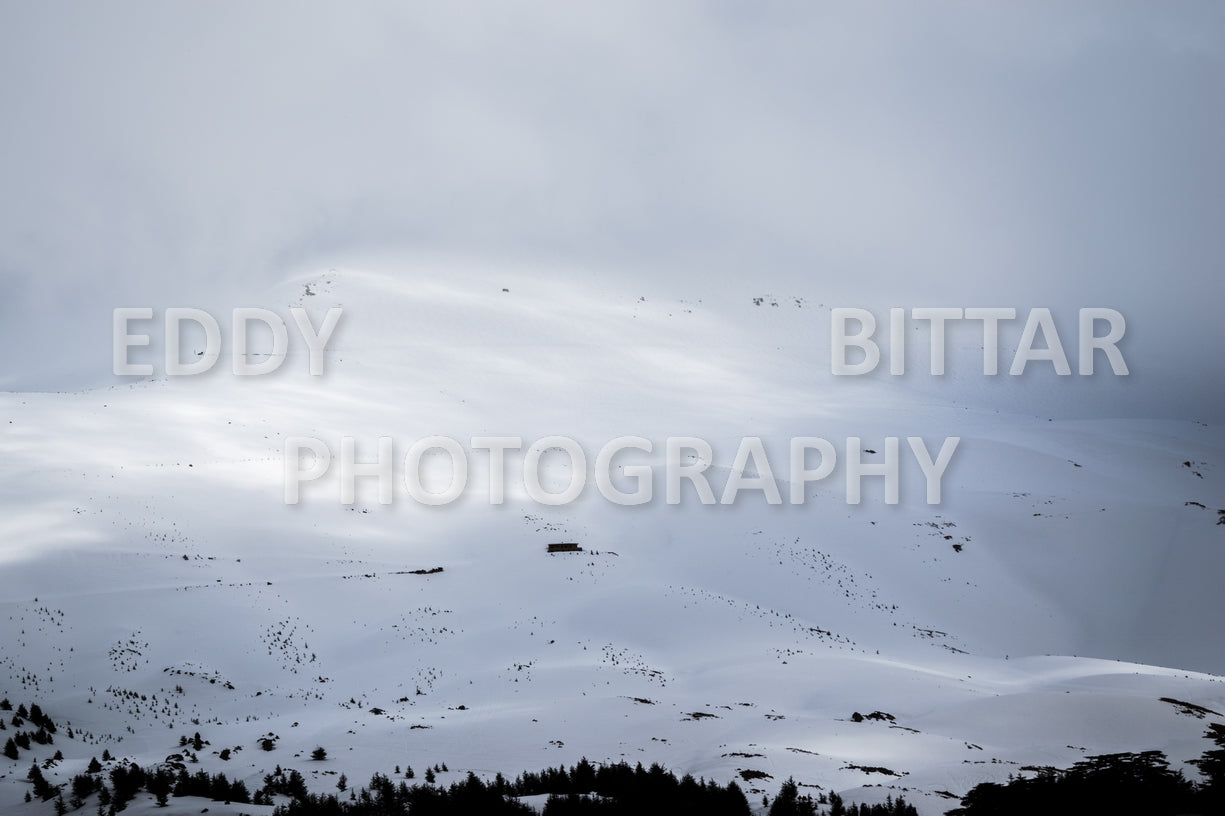 Snow-covered mountains in the Cedars