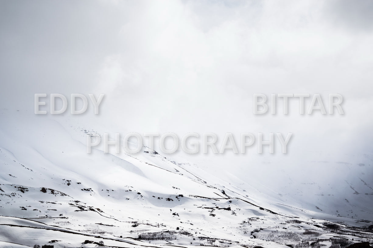 Snow-covered mountains in the Cedars