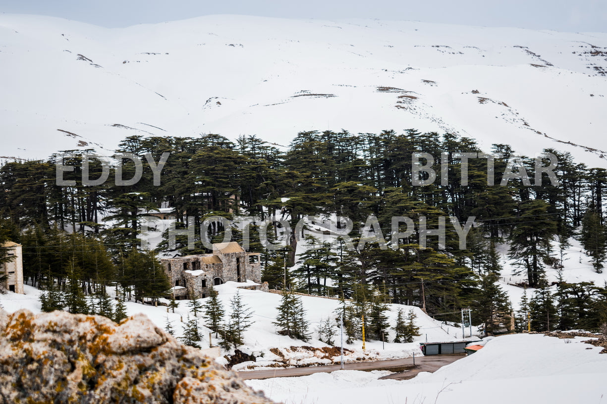 Snow-covered mountains in the Cedars