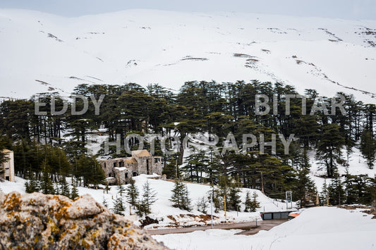 Snow-covered mountains in the Cedars