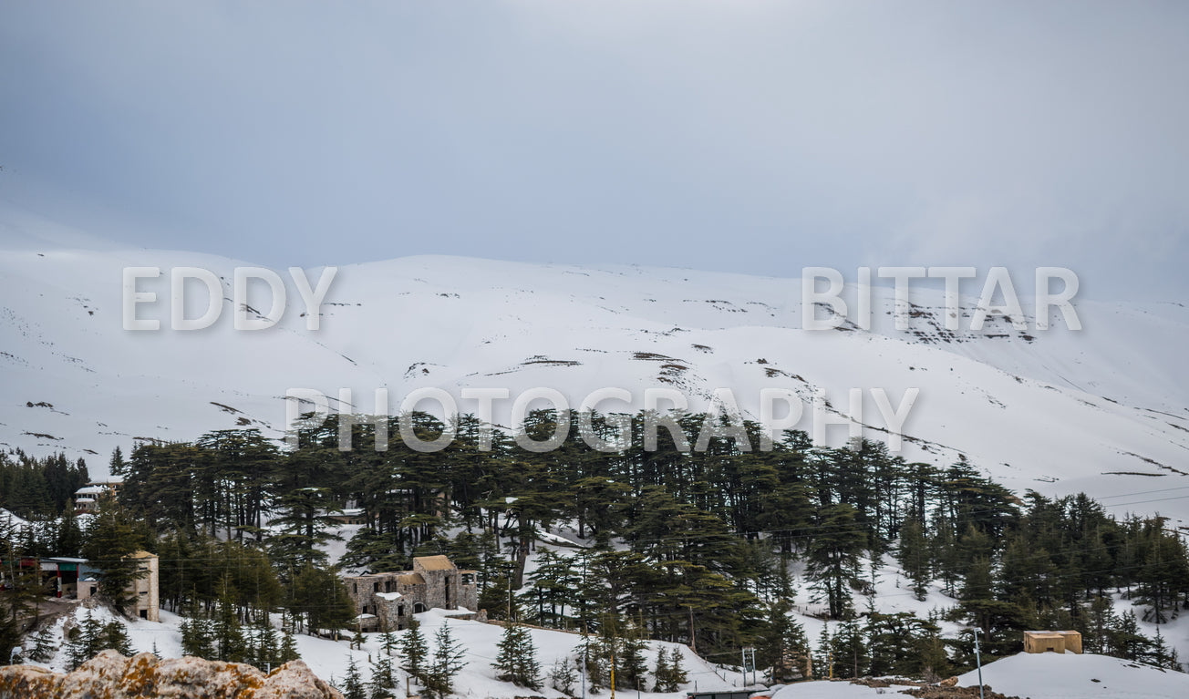 Snow-covered mountains in the Cedars