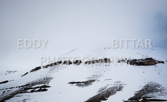 Snow-covered mountains in the Cedars