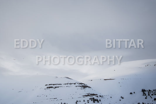 Snow-covered mountains in the Cedars