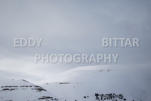 Snow-covered mountains in the Cedars