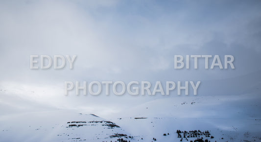 Snow-covered mountains in the Cedars