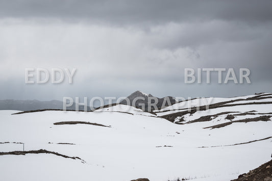 Snow-covered mountains in the Cedars