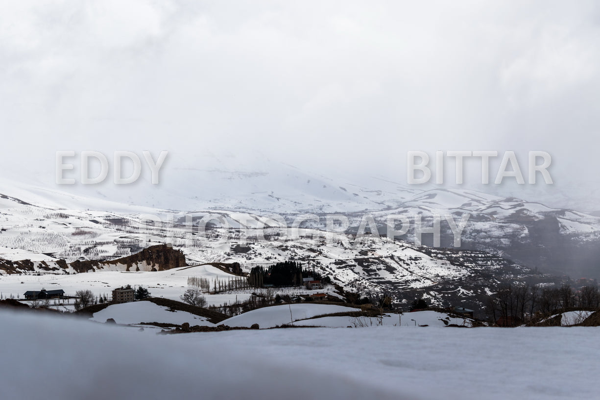 Snow-covered mountains in the Cedars